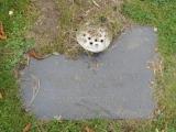 image of grave number 466209